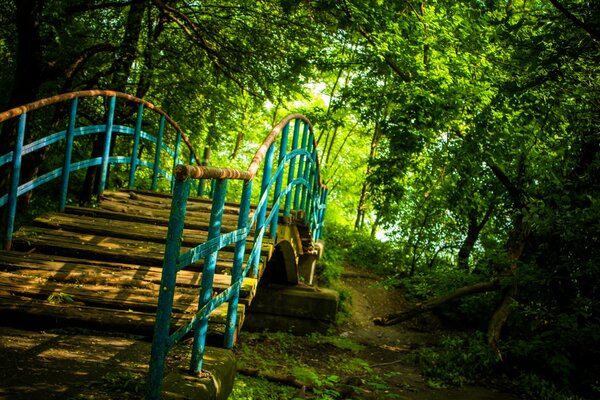 Vecchio ponte sullo sfondo della foresta