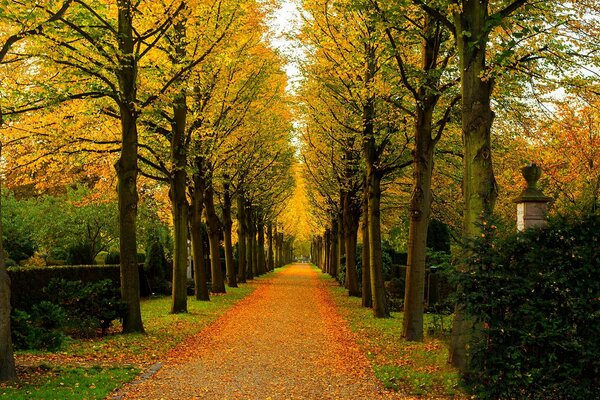 Il parco autunnale attira le persone a fare una passeggiata