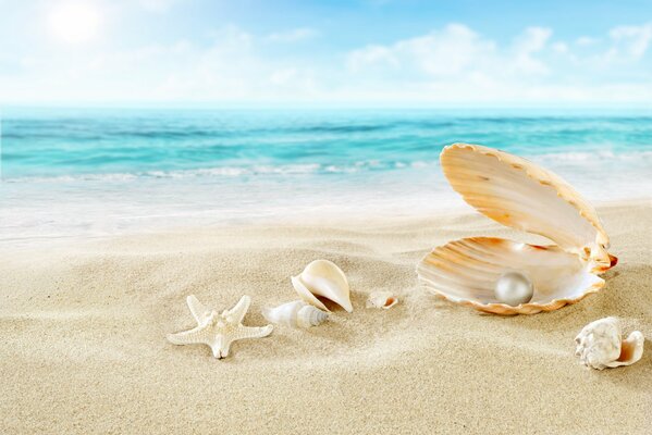 Stella marina vicino alla perla sulla spiaggia