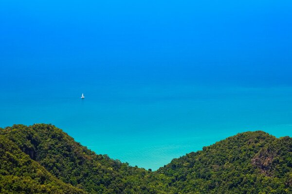 Vista dall alto della giungla e del bellissimo oceano turchese