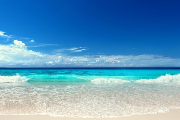 Paesaggio della spiaggia e del mare in estate