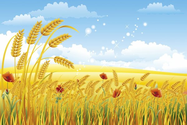 Il grano estivo è pronto per la raccolta