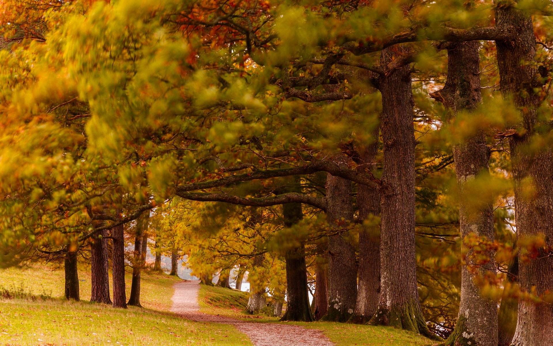 parco autunno natura