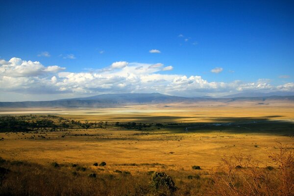 Campo infinito sotto il cielo azzurro