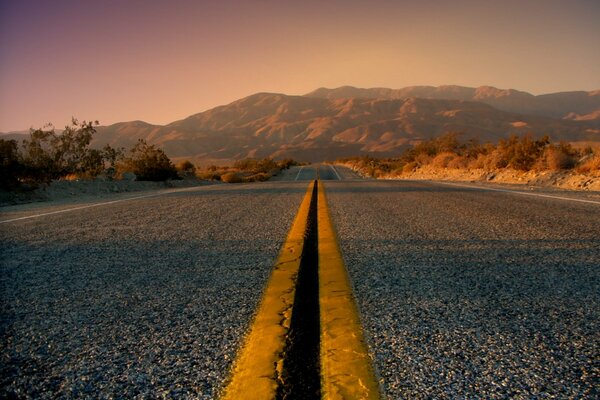 Striscia di demarcazione nella macrocamera di Texas Road