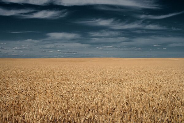 Il campo si è stretto sopra il cielo dalle nuvole