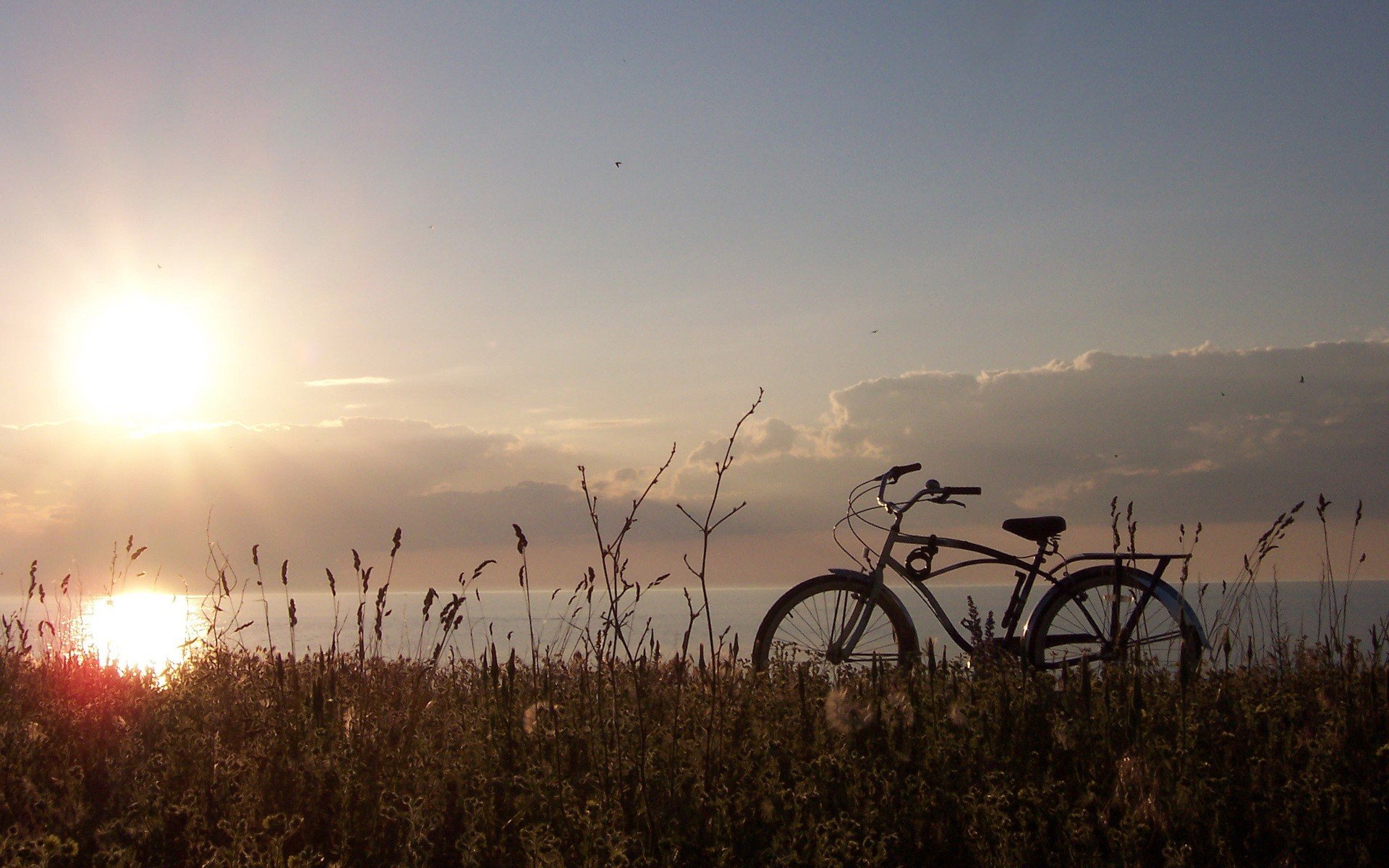 bicicletta sole erba