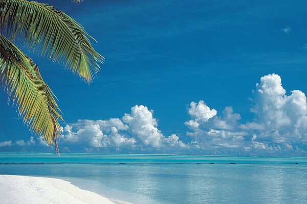 Un luogo paradisiaco con il mare blu