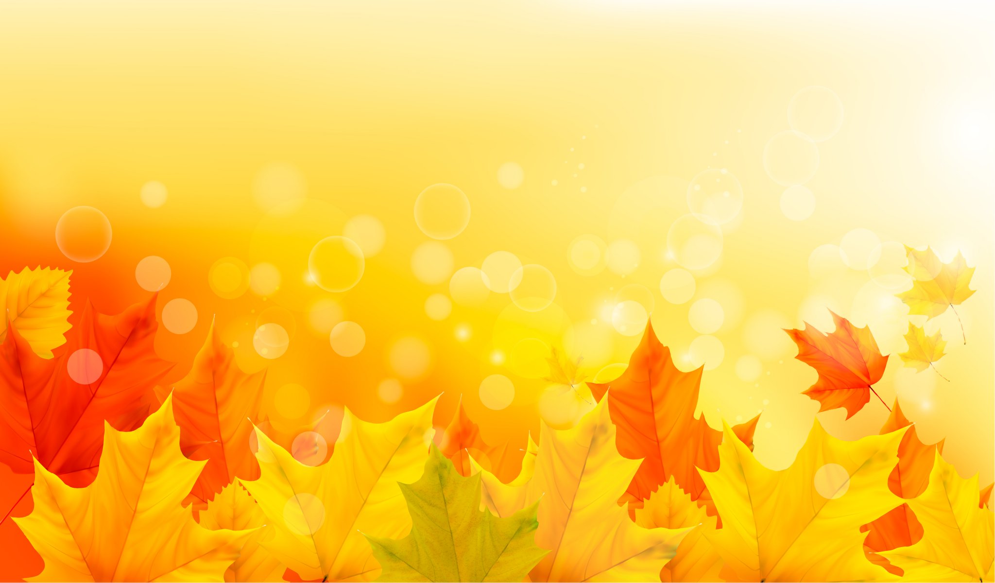 autunno foglie acero autunno sfondo