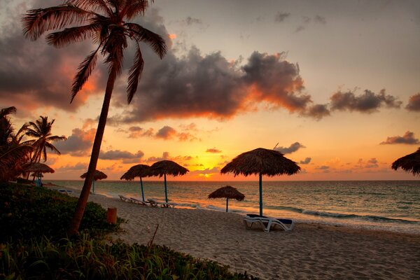 Spiaggia tropicale al tramonto
