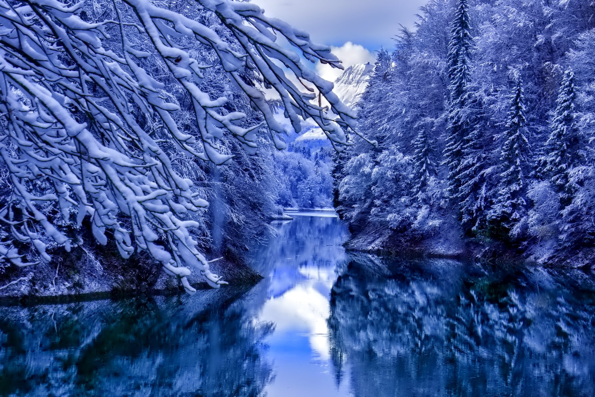 inverno neve alberi acqua riflessioni