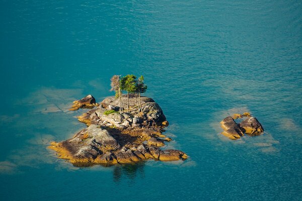 Superficie d acqua con rocce