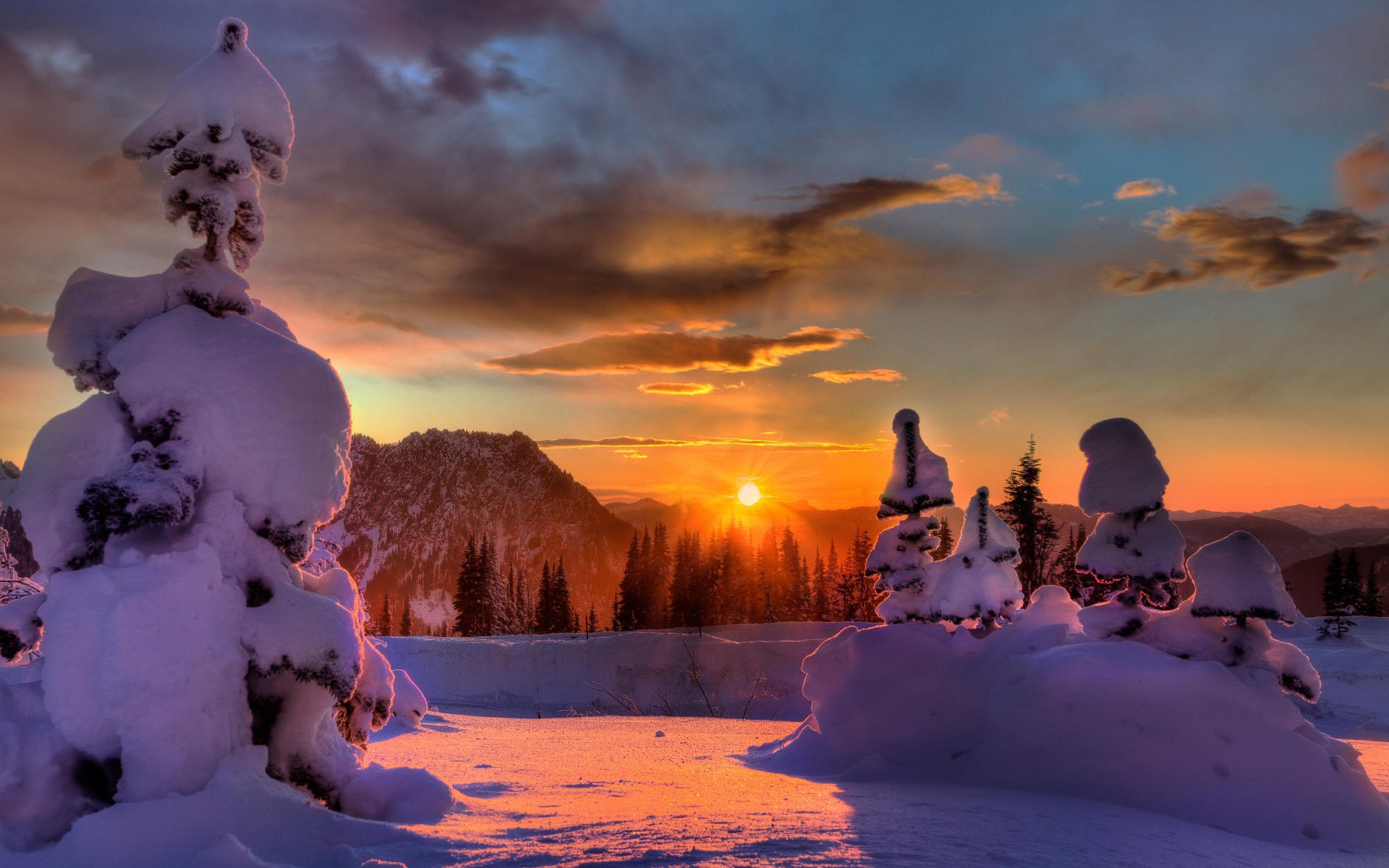 neve foresta sole tramonto