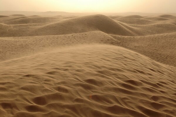 Venti sabbiosi su barkhany del deserto caldo