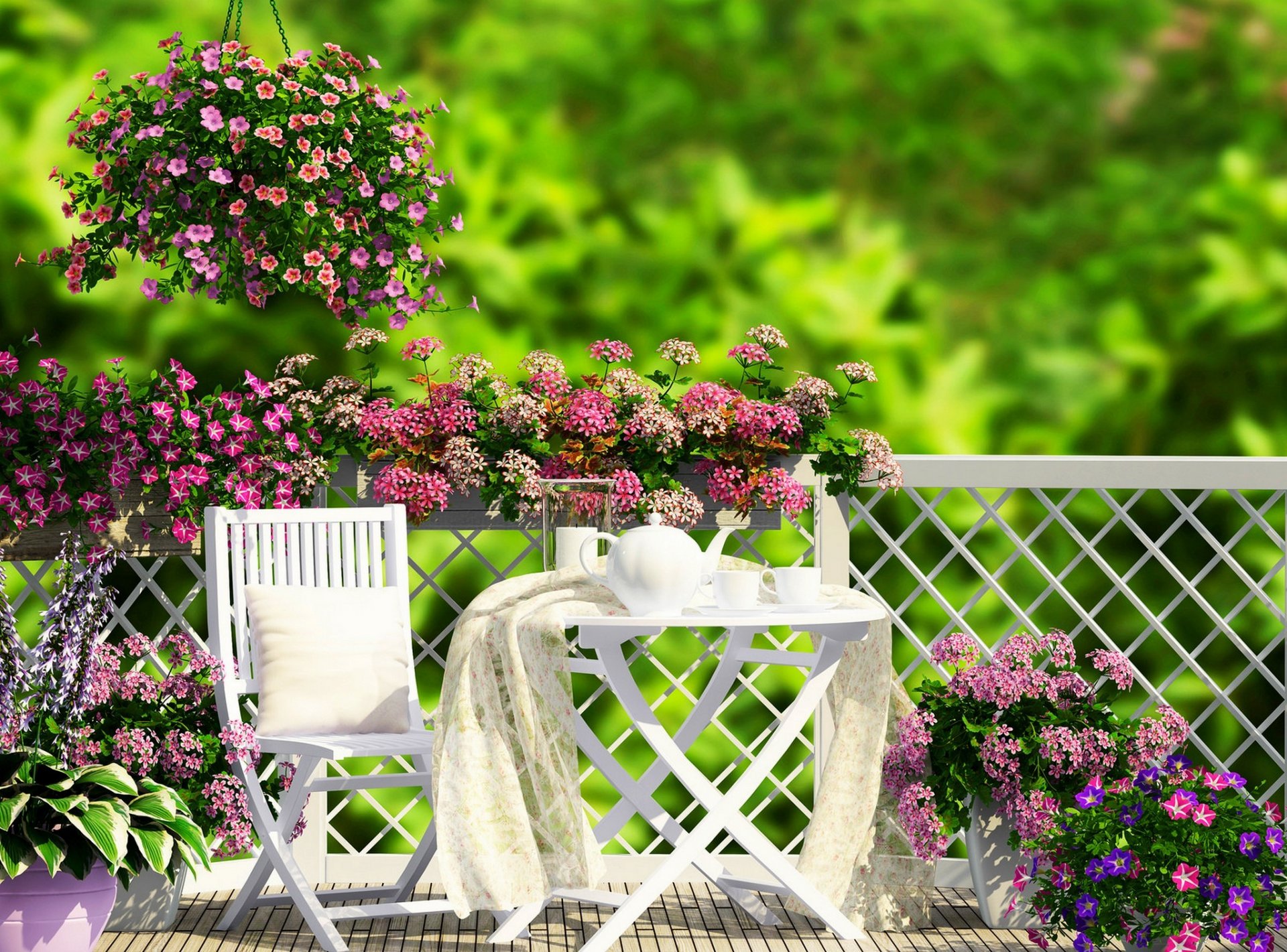 natura erba fiori giardino veranda caffè tè