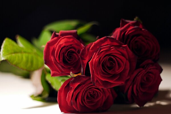 Bellissimo bouquet di rose rosse