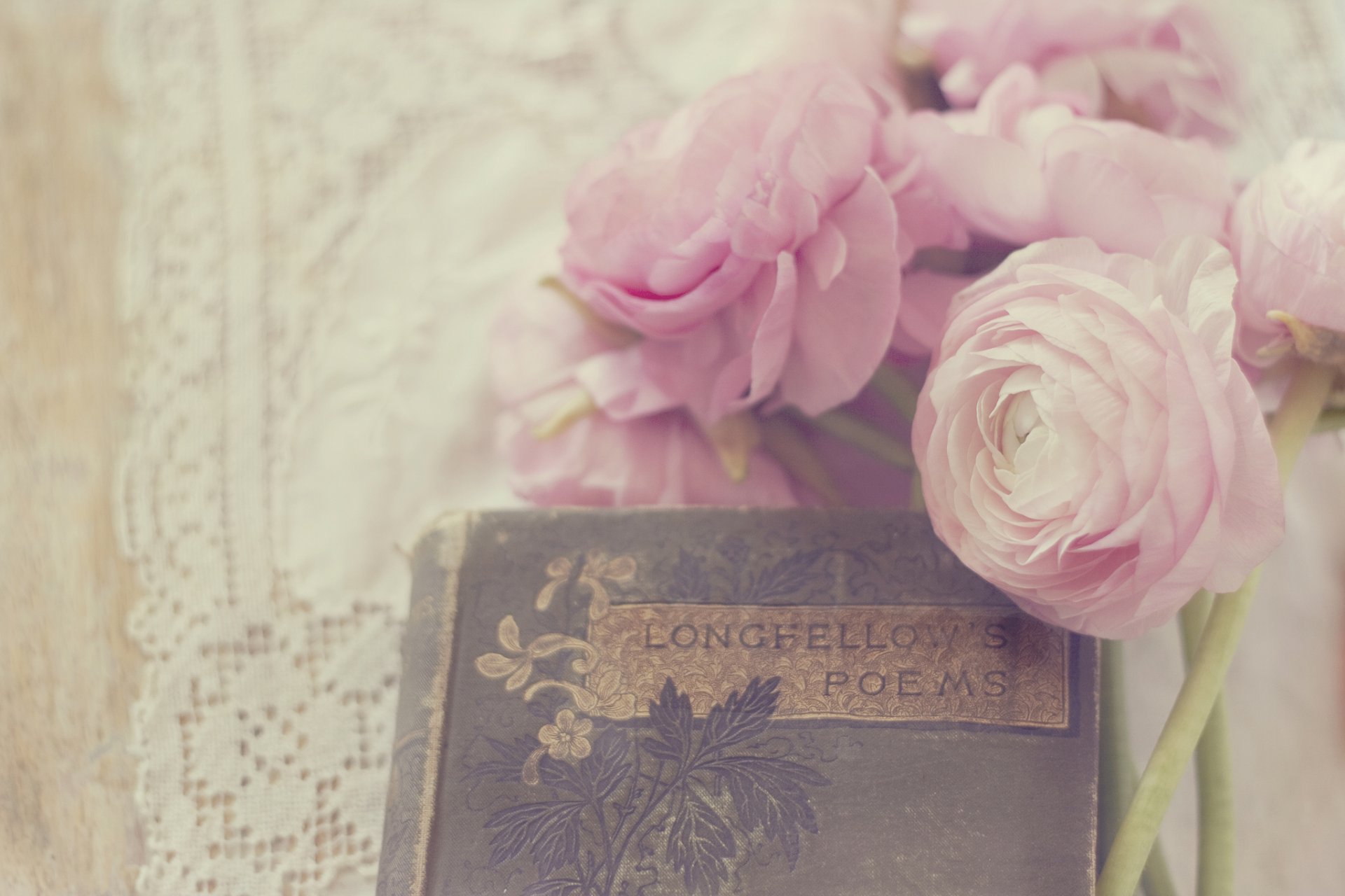 ranuncoli ranuncolo fiori boccioli petali bianco rosa libro poesie