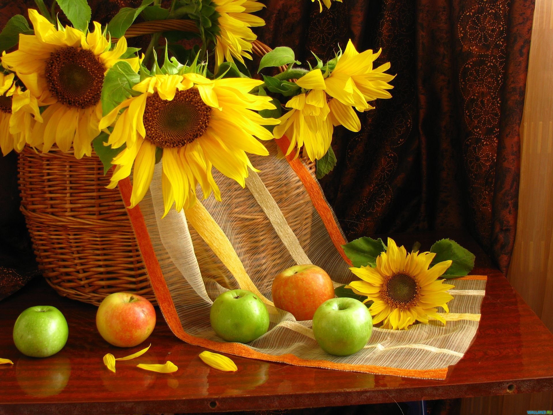girasoli mele natura morta frutta petali fiori