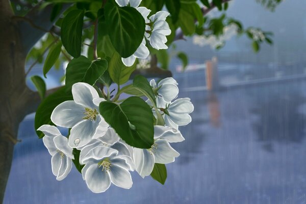 Arte disegno di fiori bianchi su legno