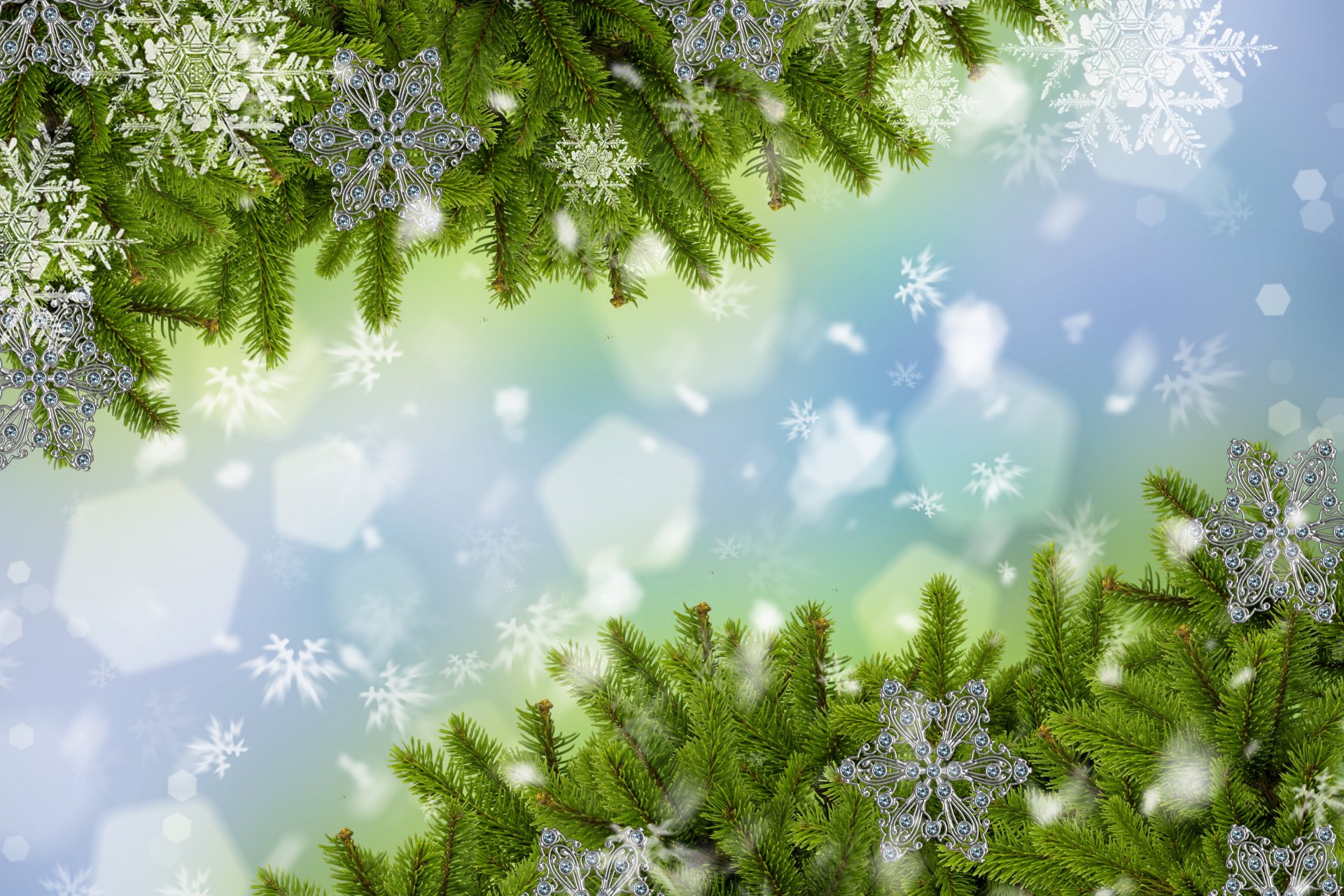 rami fiocchi di neve neve