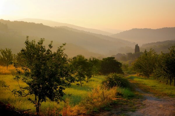 Tramonto e Sentiero in un bellissimo campo verde