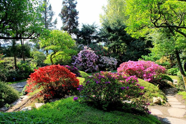 Vicolo del parco con bellissimi fiori