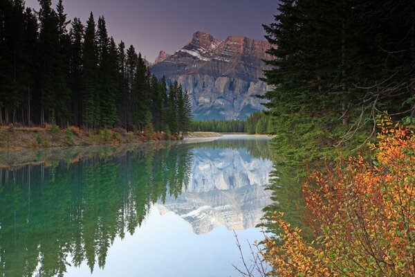 Foresta verde chic, fiume e montagne