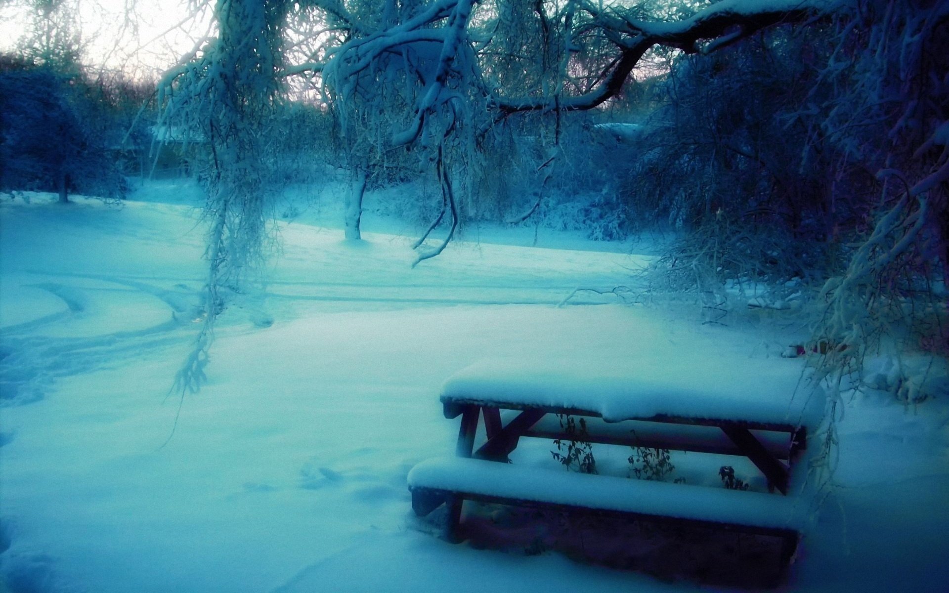 inverno neve parco alberi panchina tavolo sfocatura