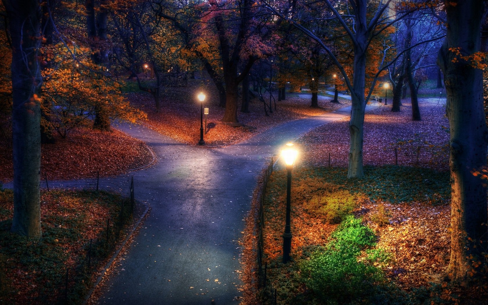 notte parco strade