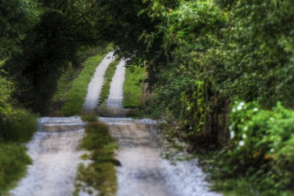 Una strada romantica tra un paesaggio pittoresco