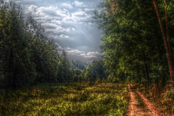 Strada forestale a dal