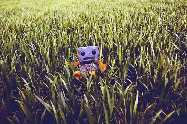 Robot giocattolo seduto sull erba del campo