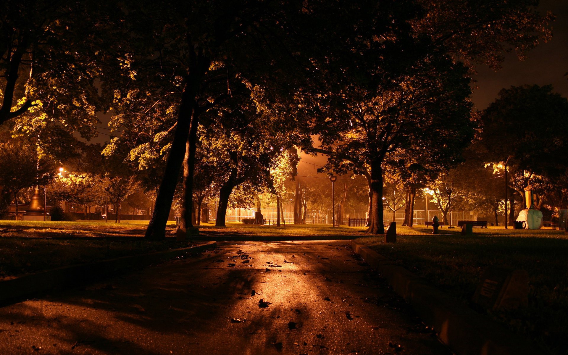 notte alberi lanterne