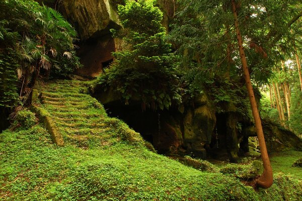 Tempio abbandonato nel profondo della foresta