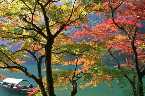 Alberi autunnali sullo sfondo di una barca galleggiante