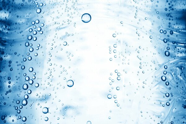 Bolle di gas in una bottiglia d acqua
