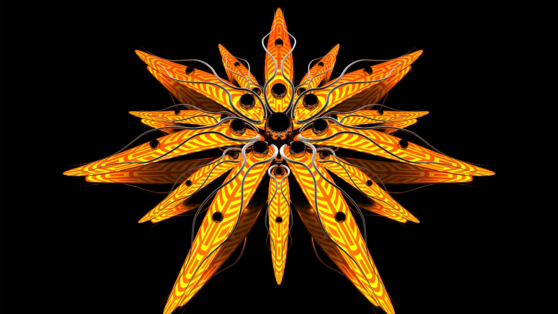 astrazione fiore linee