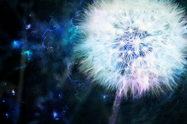 Dente di leone come fonte di energia su sfondo blu
