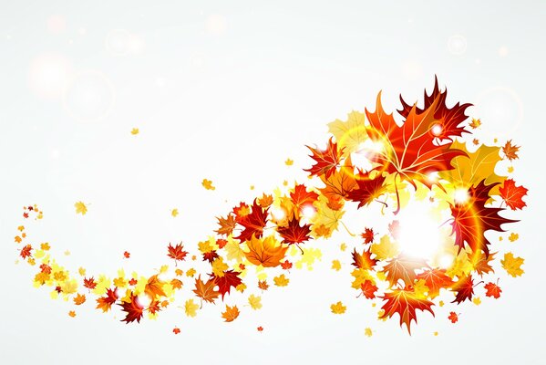 Caduta autunnale di foglie di acero colorate
