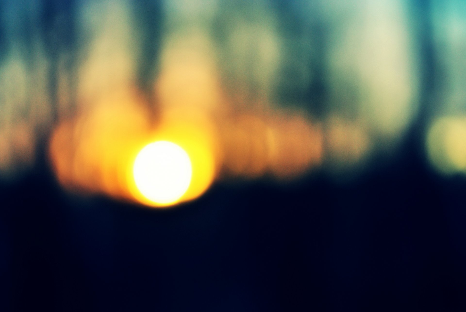 sole tramonto foresta alberi