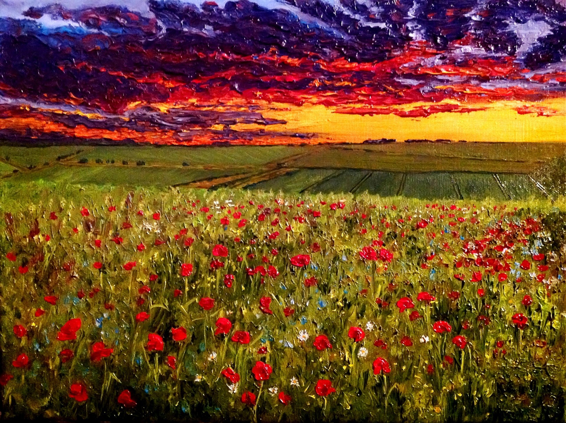 pittura cielo serale sopra il campo di papaveri olio su tela artista o. katz