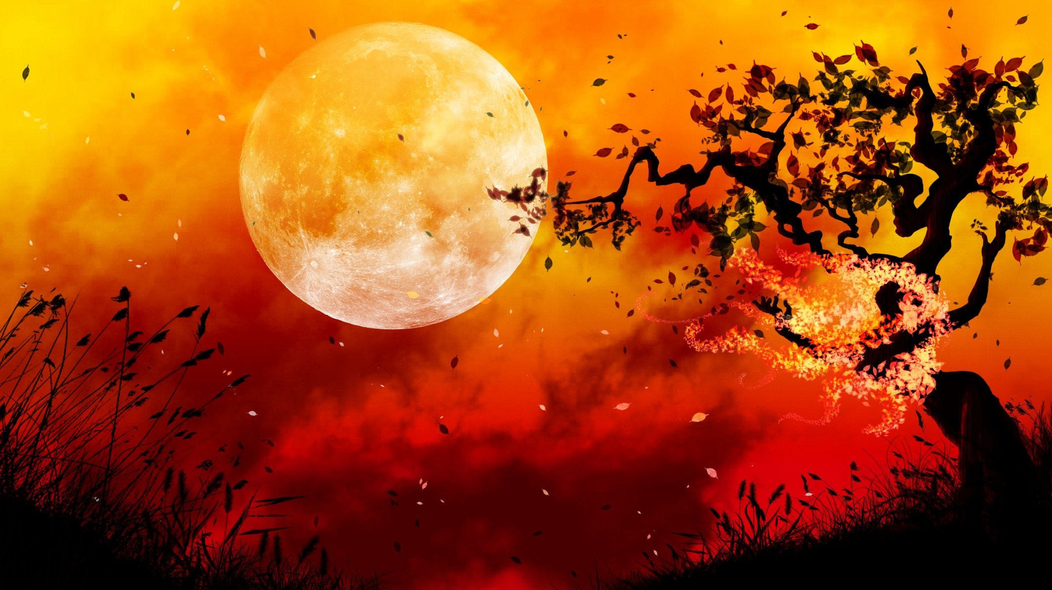 pittura arte paesaggio tramonto cielo albero