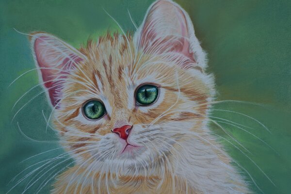 Aspetto lamentoso del gattino rosso
