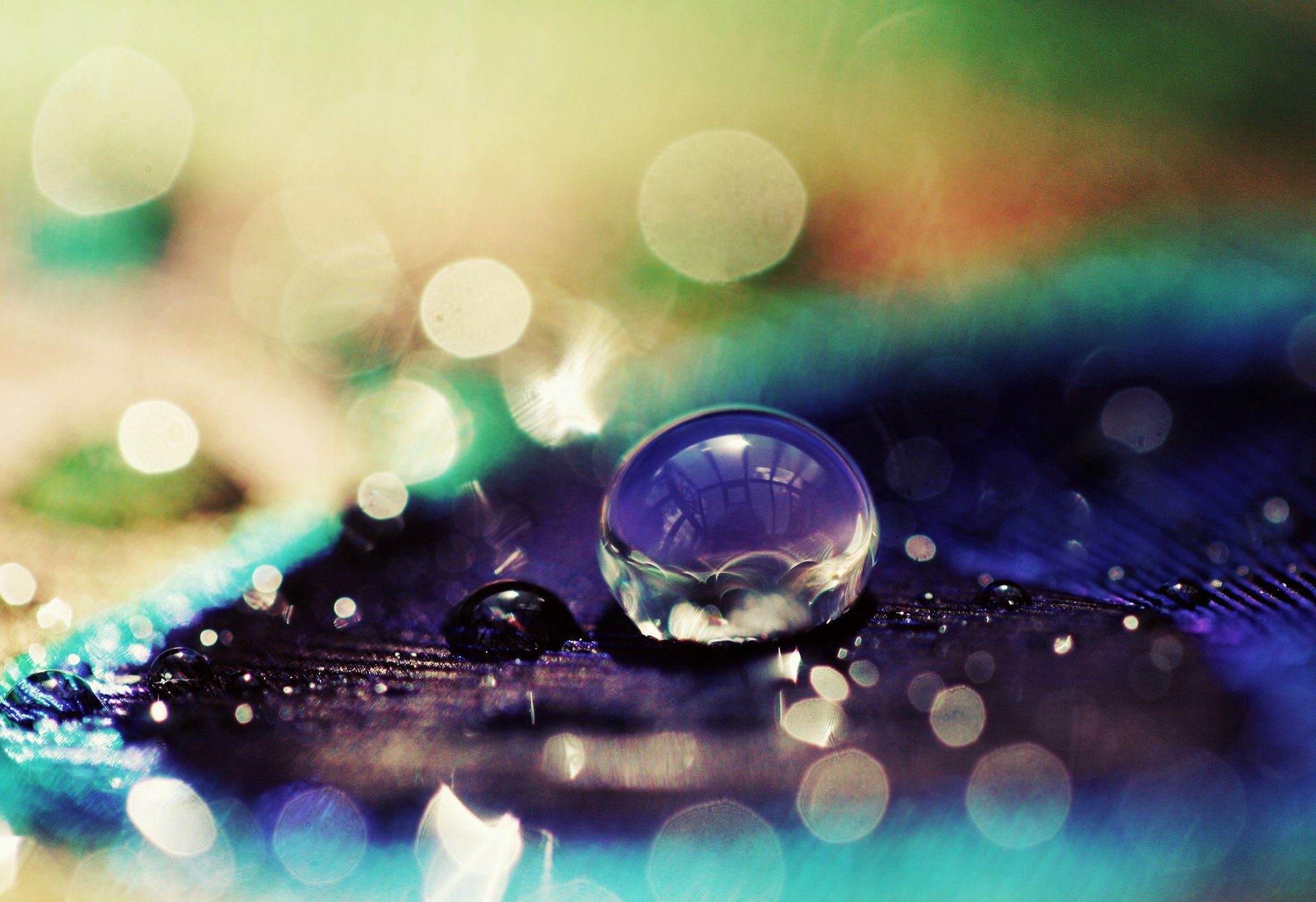 macro goccia gocce glitter bokeh viola ciano sfondo carta da parati widescreen schermo intero widescreen widescreen