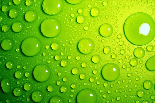 Mela verde in gocce d acqua