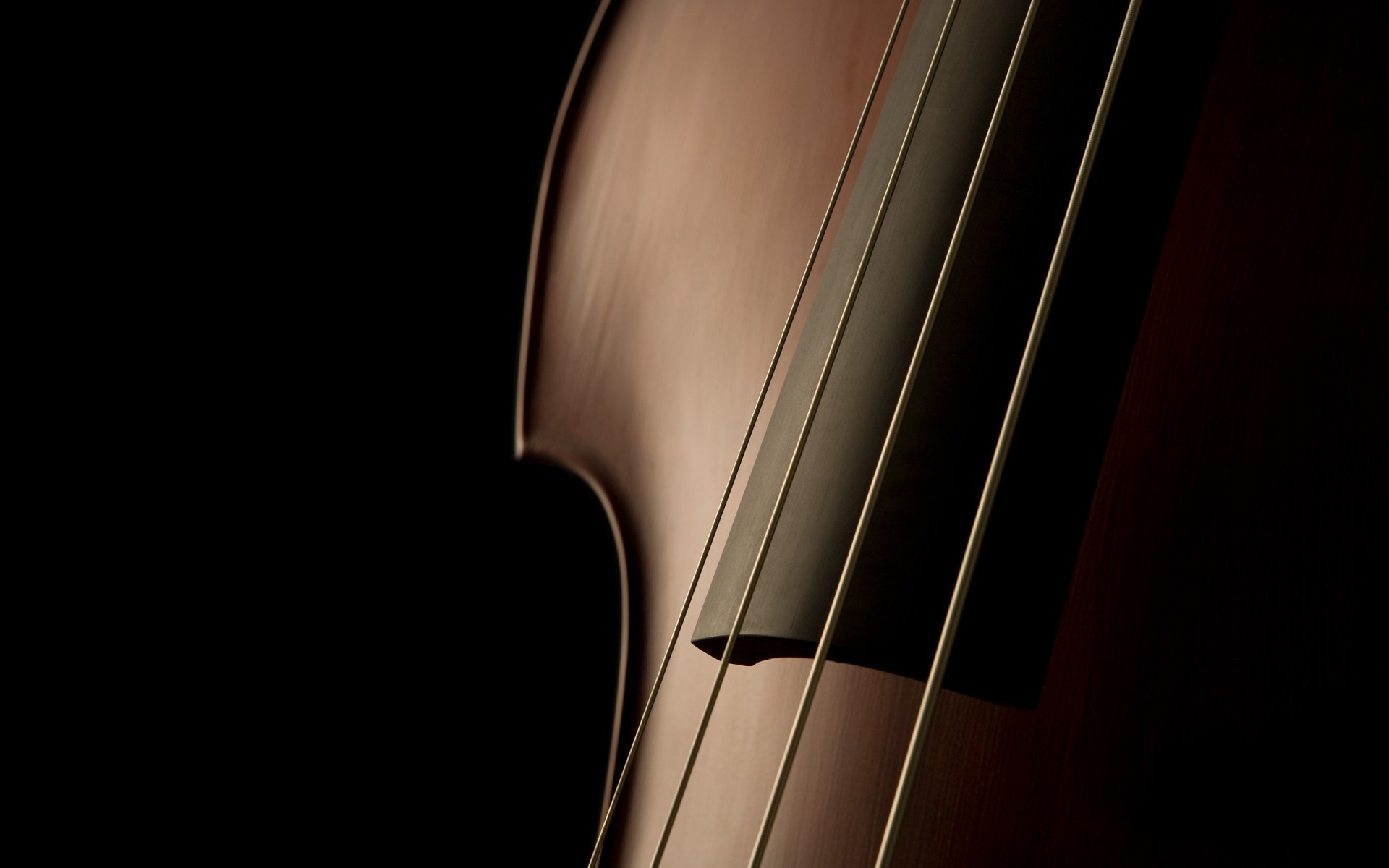 macro strumenti musicali musica foto macro