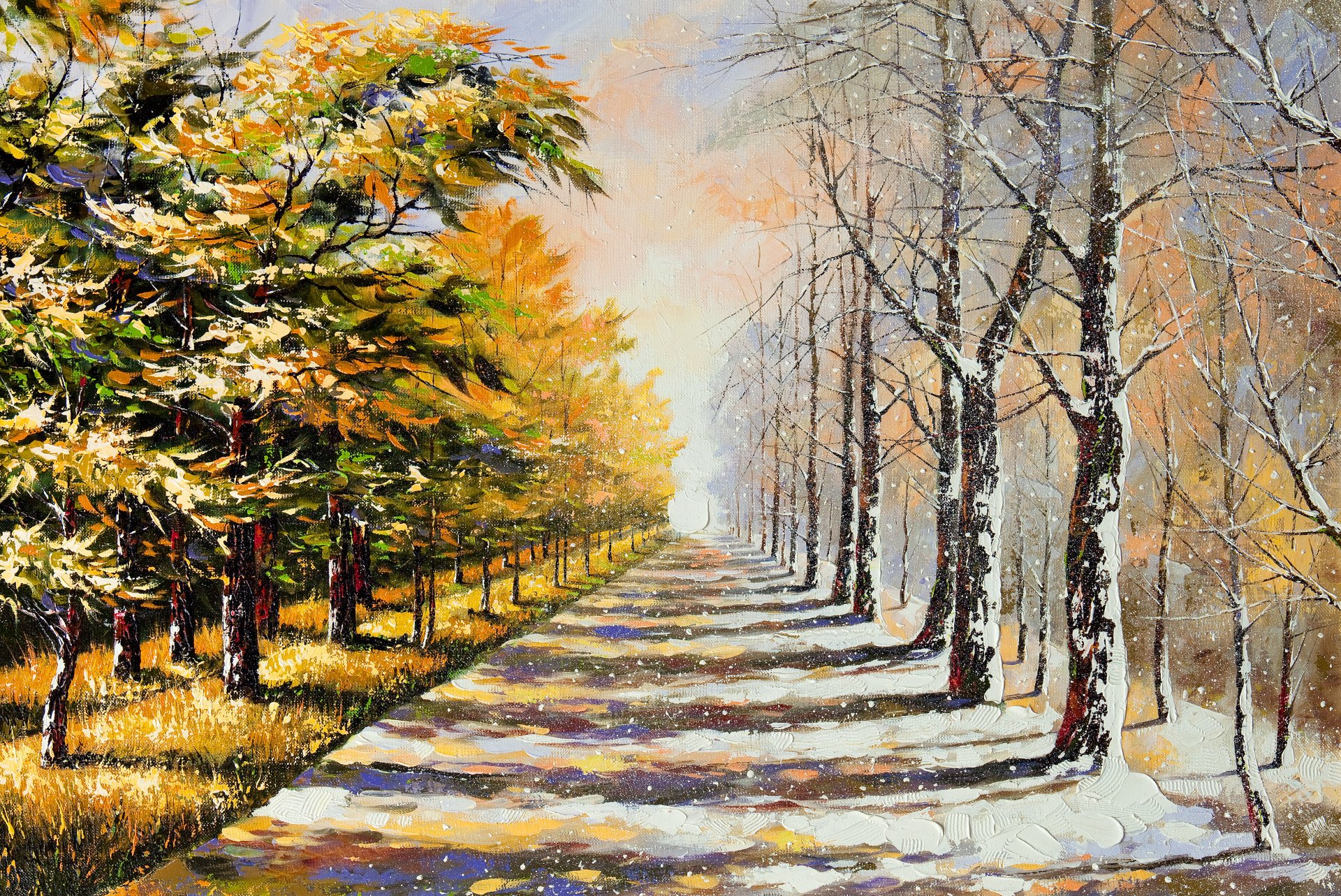 inverno estate alberi fogliame neve strada