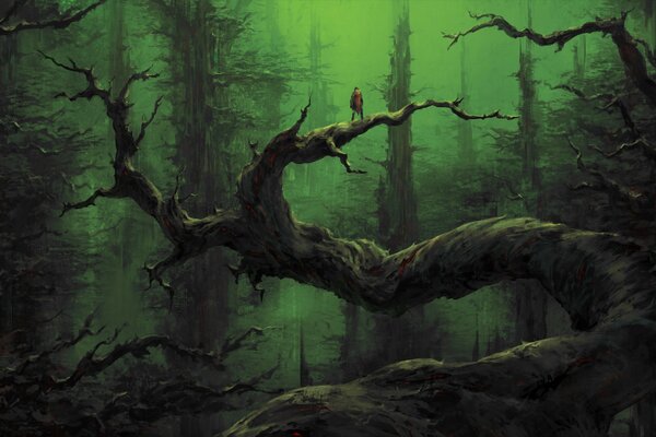 Foresta cupa al crepuscolo
