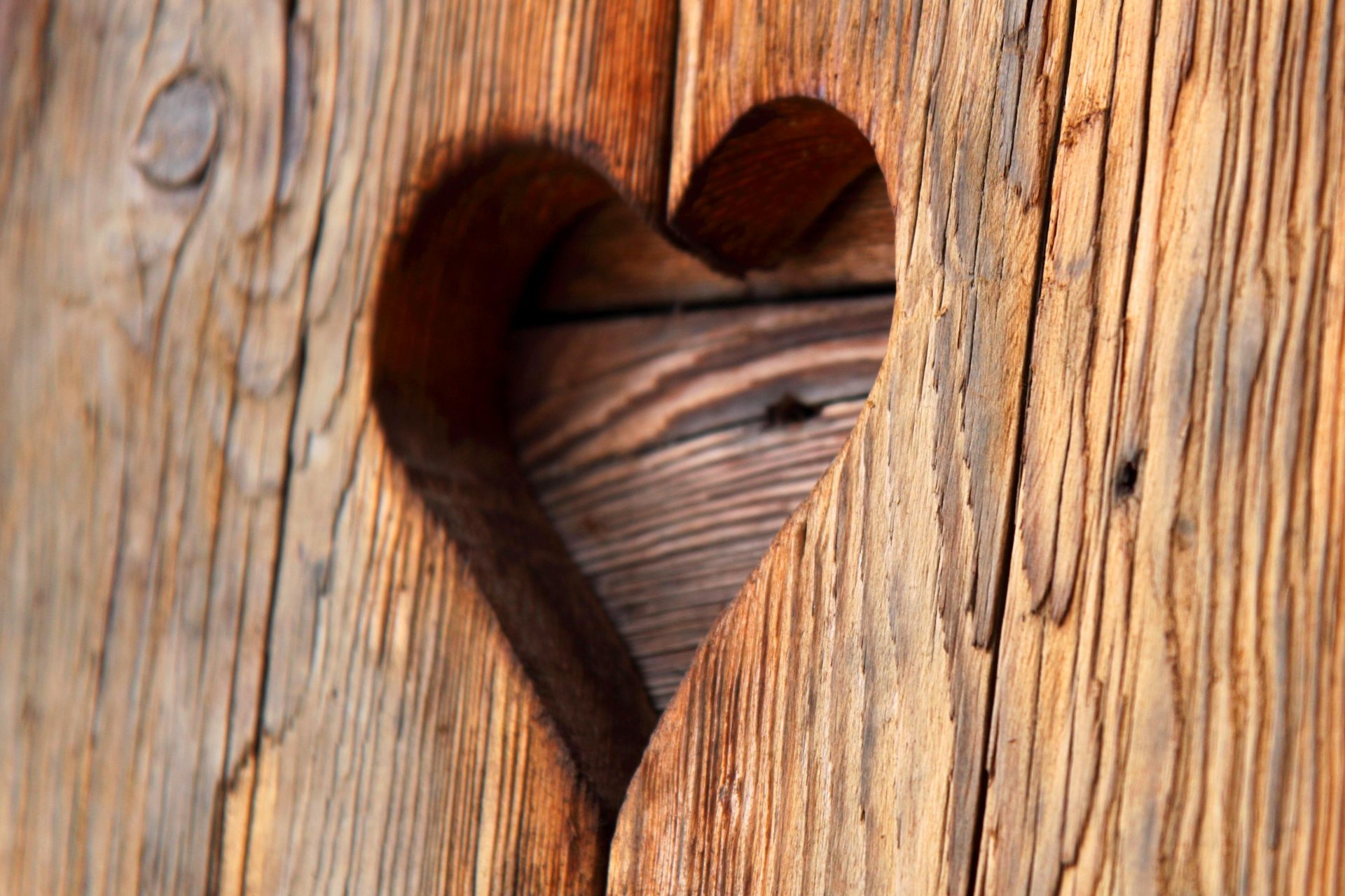 amore cuori