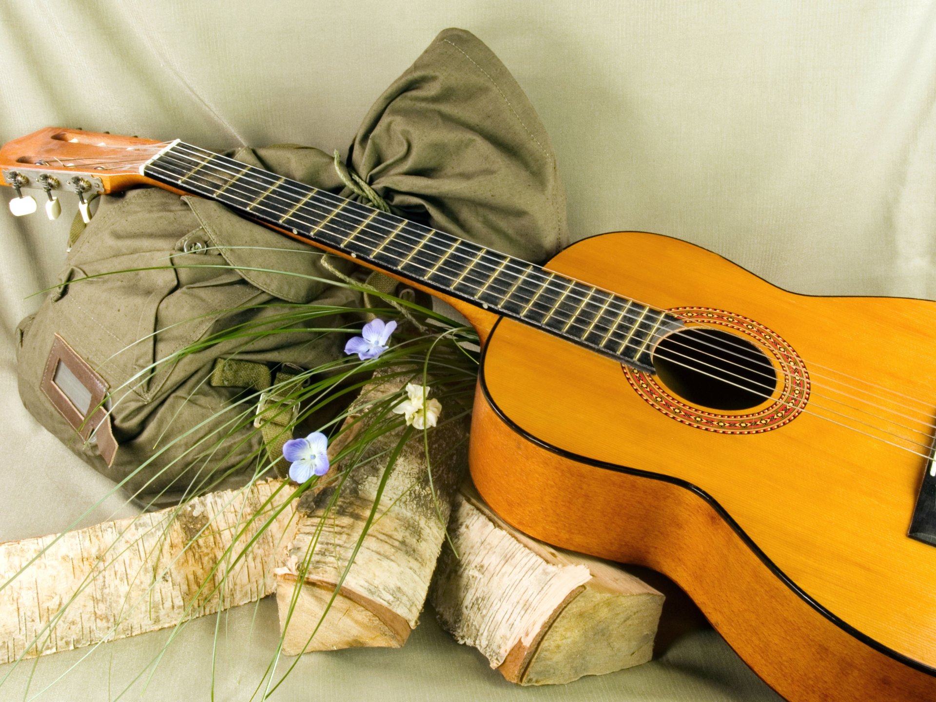 chitarra zaino fiori tronchi sfondo romanticismo